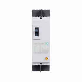 正泰 漏电塑壳断路器；DZ15LE-100/2901 63A 75mA