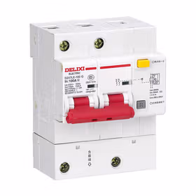 德力西电气 大电流漏电断路器；DZ47LE-125 2P  LI(C)  100A 100MA