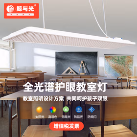 鲸与光 教室灯国标教室灯防眩防蓝光教育灯全光谱吊灯格栅灯大路灯 塑框国标款教室灯120*30CM36瓦
